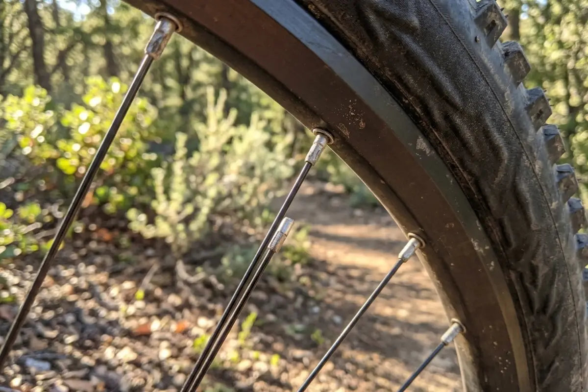 Bike Spoke Broken? What to Do and How to Replace It