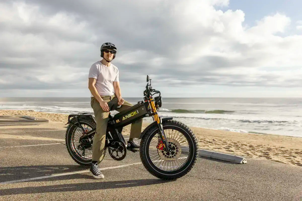 How Safe Are E-Bike Batteries? UL 2849 vs 2271 Safety Standards Compared