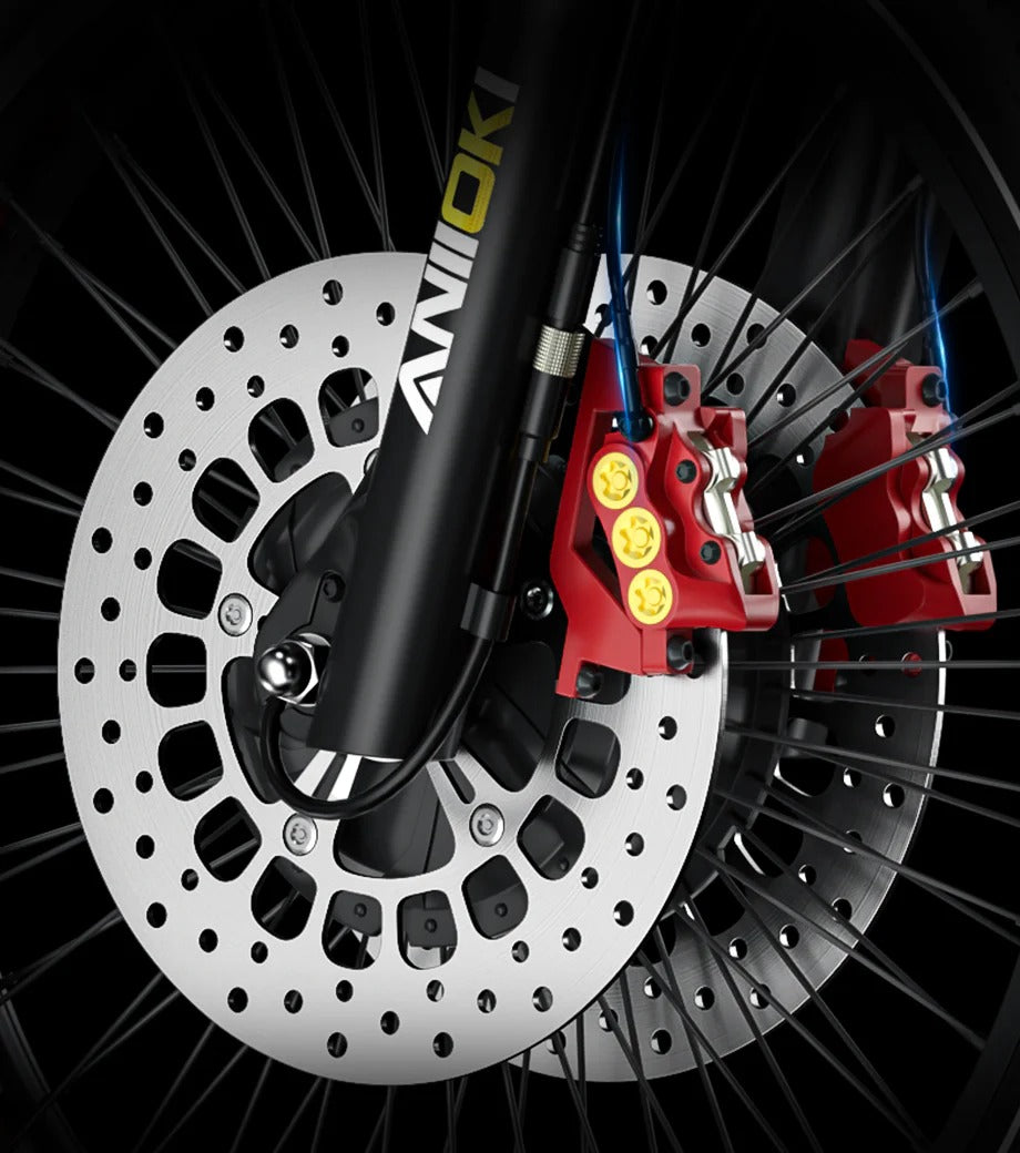 Front Disc