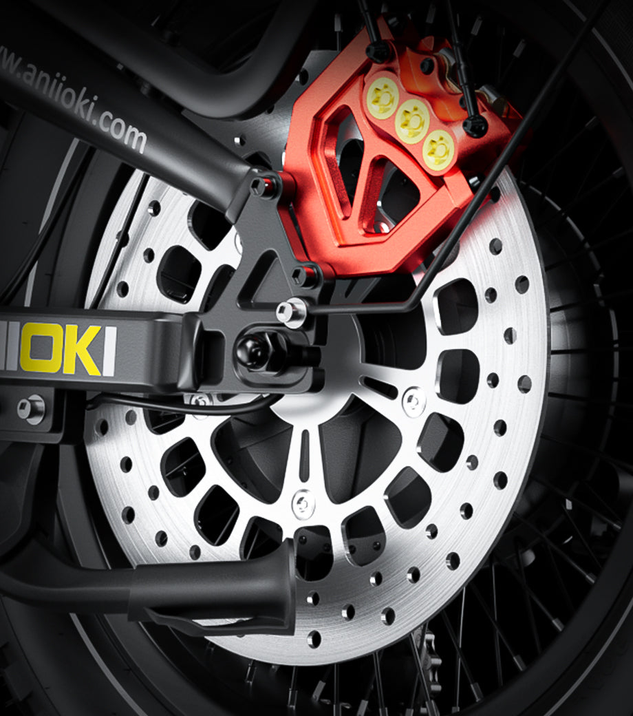 Rear Disc