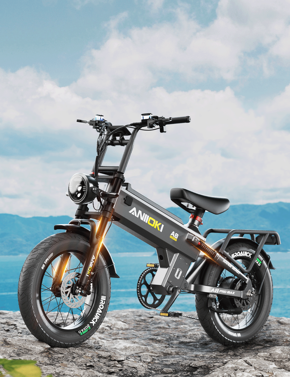 52V EBIKE