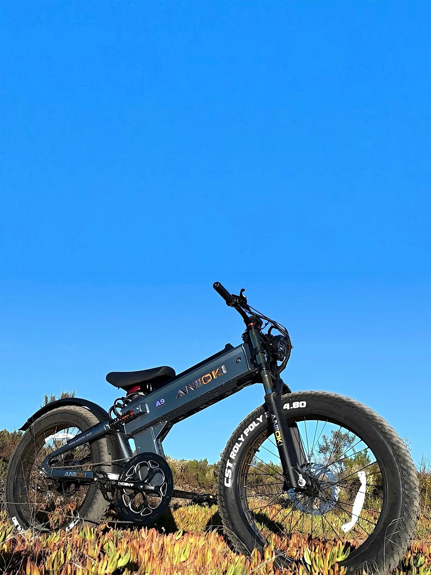 Aniioki A9 Pro Max 52V