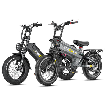 Couple’s Power Ride 52v eBike