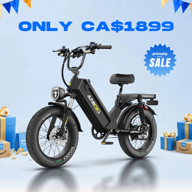 AQ177 Pro Max eBike